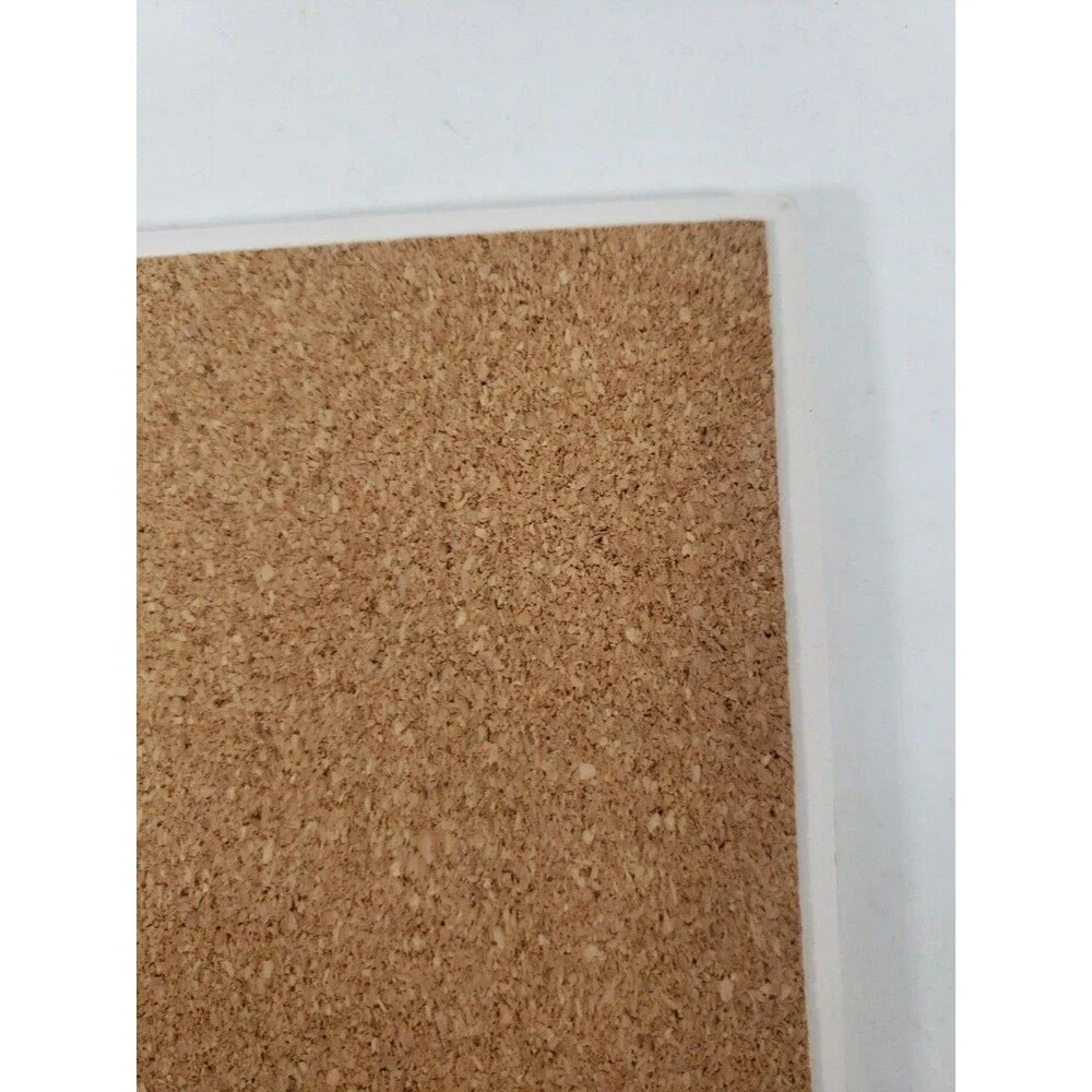 Zion National Park Absorbent Stone Coaster SJT Enterprises Cork Backed Utah